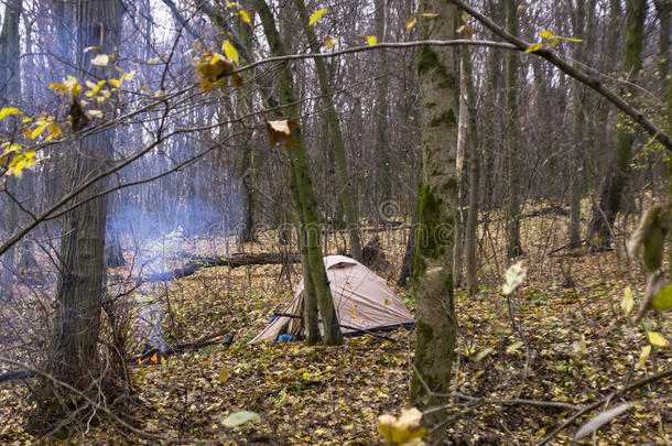 森林里的篝火和露营帐篷