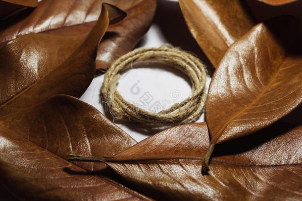 干棕色秋叶木兰的组成。 粗糙的乡村绳子在中间滚动一个圆圈，在w上有文字的空间
