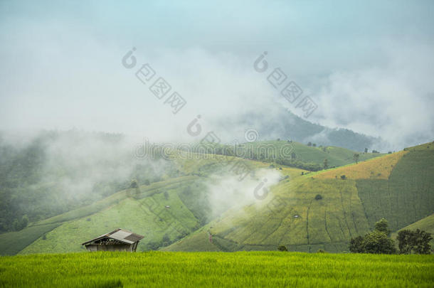 农业亚洲亚洲的巴厘岛瓷器