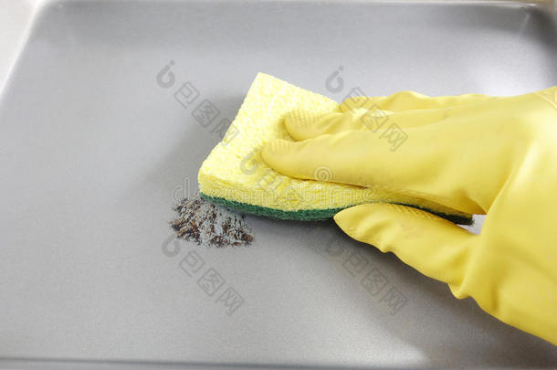 清洁的打扫清理肮脏的手套