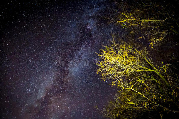 夜空中的银河系