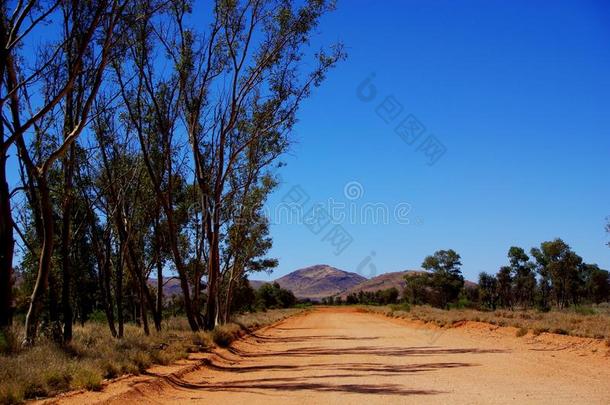 澳大利亚中部沙漠场景