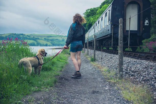 成人动物光秃秃的犬科动物马车