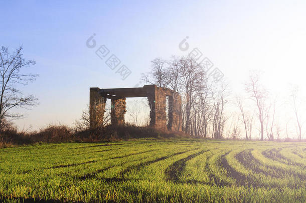 废弃砖房和麦田，阳光明媚