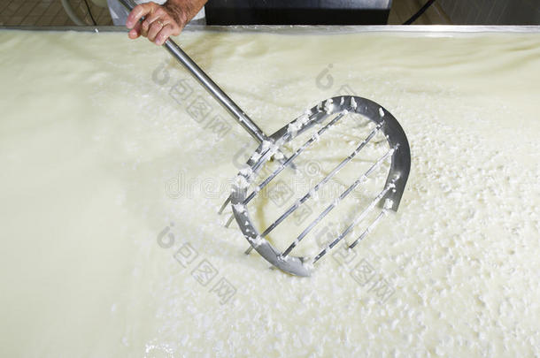奶酪制造者打破了凝乳