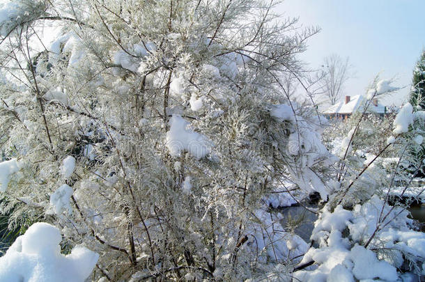 冬天冬季冬季景观冬雪房子