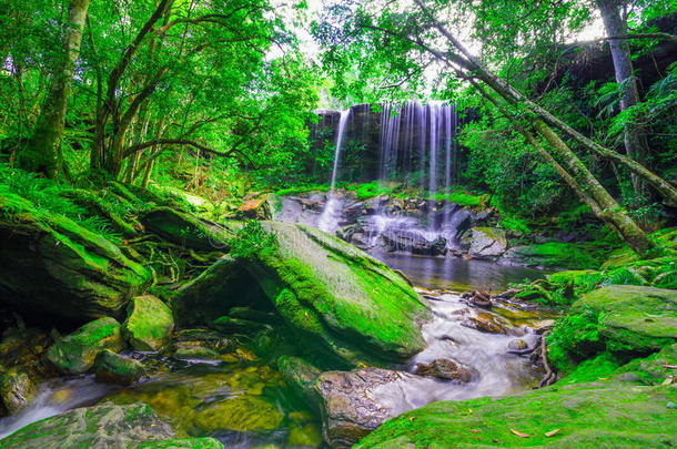 美丽的热带雨林瀑布在深林，蒲克拉登国家公园