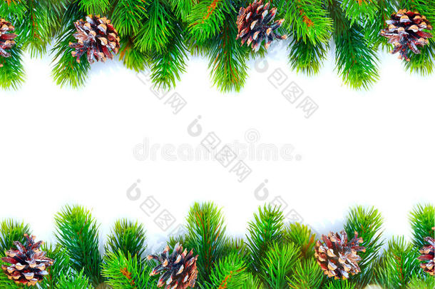 圣诞树与锥边框隔离在白色背景上