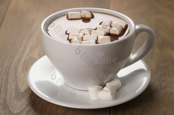 一杯自制的热巧克力和棉花糖