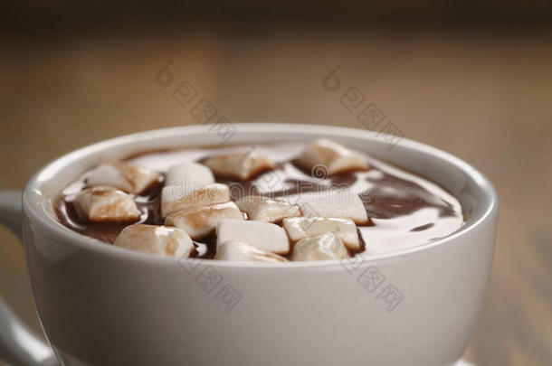 一杯自制的热巧克力和棉花糖