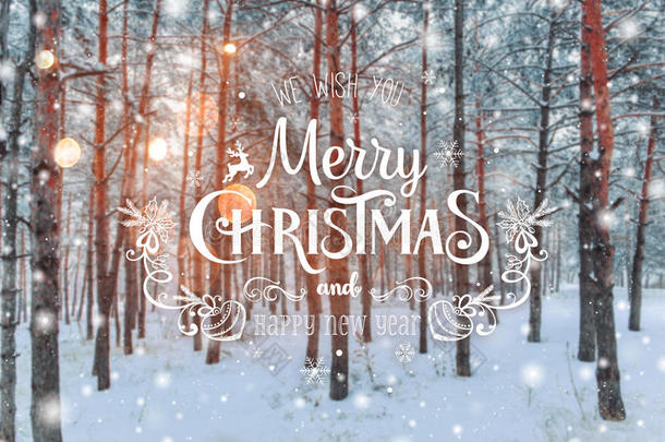 雪林中霜冻的冬季景观。 圣诞节背景与冷杉树和模糊的背景与文字圣诞快乐