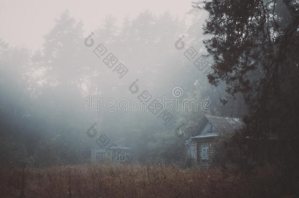 在村庄里的清晨，雾蒙蒙的清晨