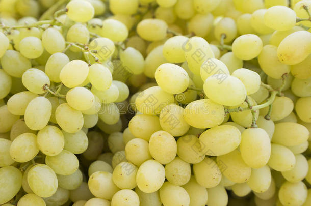 葡萄。 葡萄酒葡萄背景。绿色葡萄。 葡萄是一个市场。