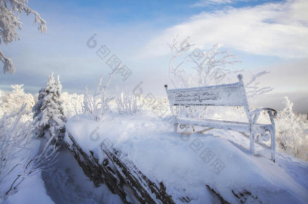 冬天，雪中的长凳在山上的树木中。 霜冻的一月早晨