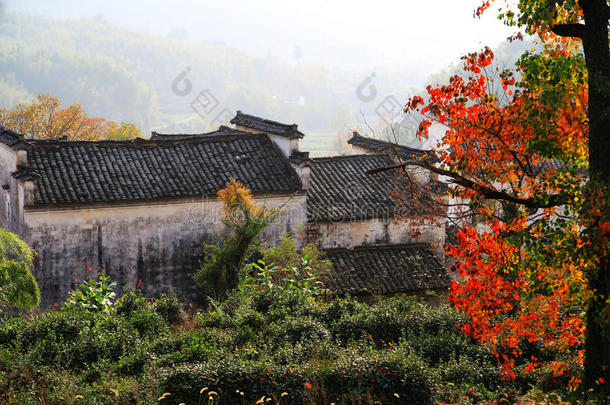 塔川五彩缤纷的秋景