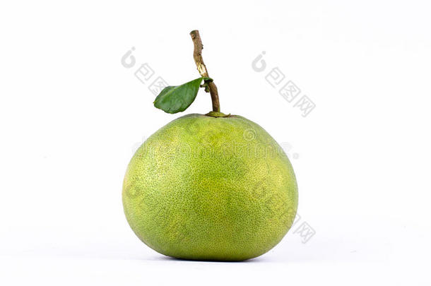 新鲜绿色柚子和叶柚在白色背景下分离健康水果食品