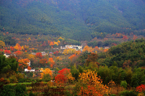 塔川五彩缤纷的秋景