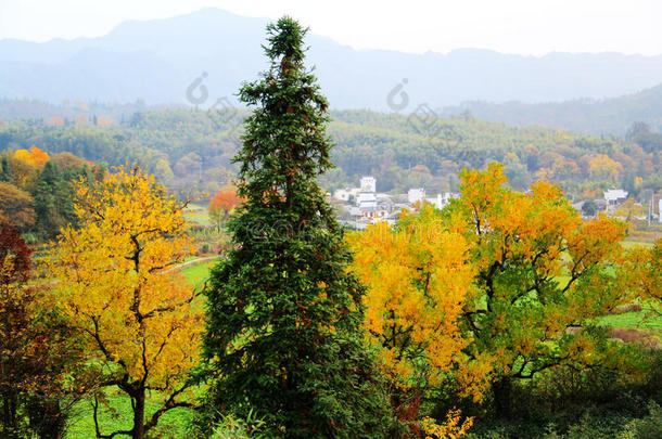 塔川五彩缤纷的秋景