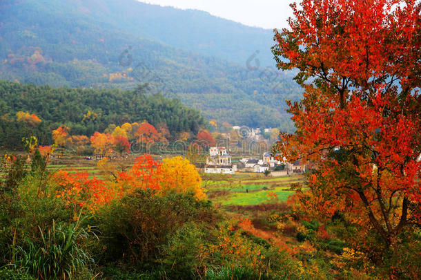 塔川五彩缤纷的秋景