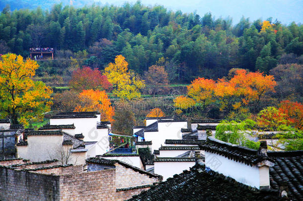 塔川五彩缤纷的秋景