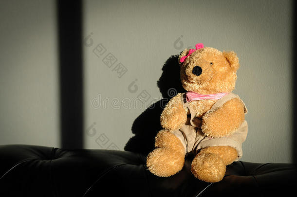 可爱的泰迪熊女娃娃玩具坐在<strong>老式沙发</strong>上