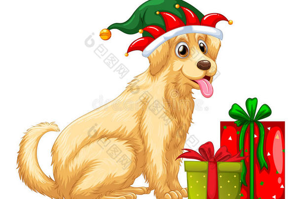 <strong>圣诞主题</strong>与可爱的狗和礼物