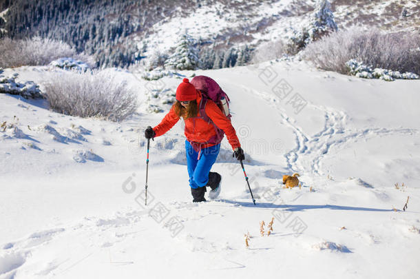 冬天山上带狗的女孩。