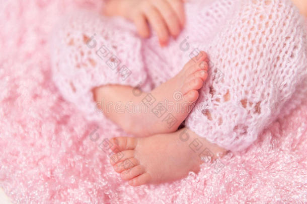 新生儿美丽的折叠腿
