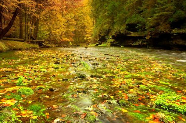 秋天的山河带着模糊的波浪，清新的绿色苔藓般的石头和巨石