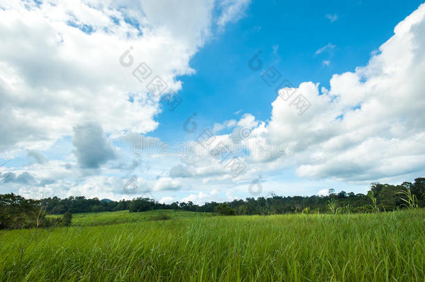 蓝天下的绿色草地，有云，有风景，有天空