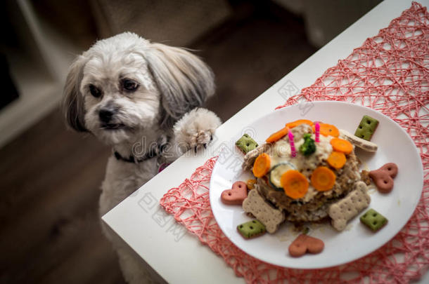 生日蛋糕狗眼睛食物