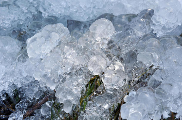 冷冻植物上的抽象冰晶