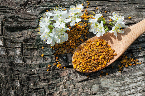 蜜蜂花粉在木勺里，春天的树花。 治疗
