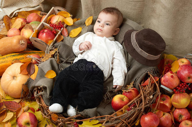 秋天的<strong>小男孩</strong>躺在黄色的落叶上，苹果，<strong>南瓜</strong>和纺织品上的装饰