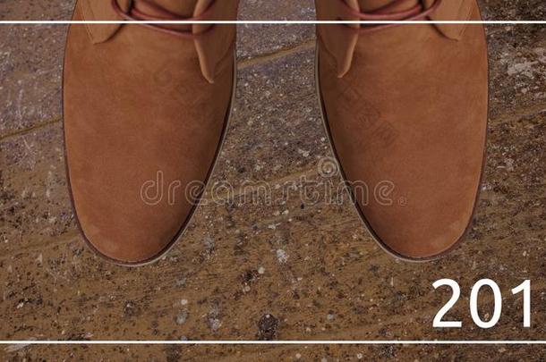 2017年新年愿望对楚卡棕色靴子