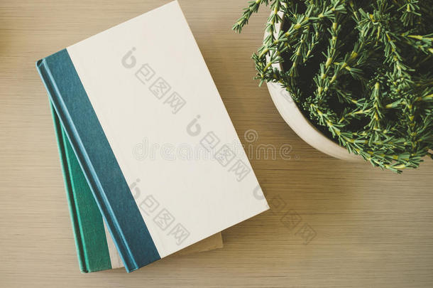 <strong>书籍封面</strong>模拟模板在桌子上与植物装饰