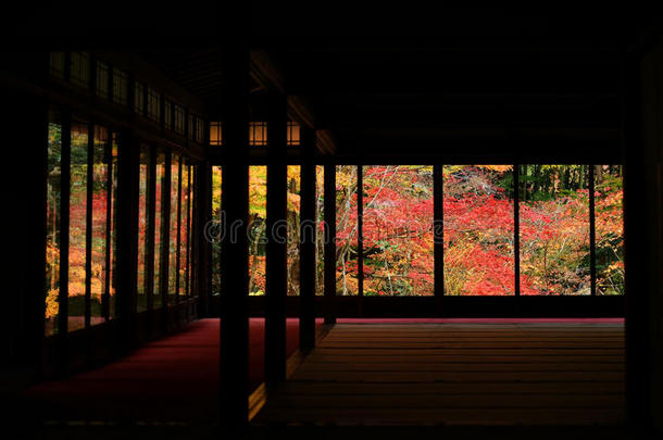 京都腾居安寺的秋色