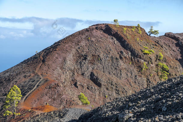 大西洋黑色火山口金丝雀卡纳里奥斯