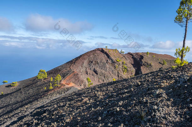 大西洋黑色火山口金丝雀卡纳<strong>里奥斯</strong>