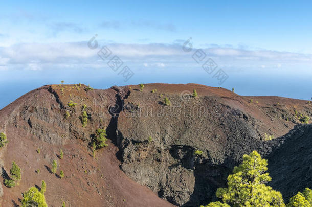 大西洋黑色火山口金丝雀卡纳<strong>里奥斯</strong>