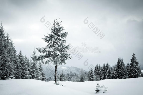 冬季雪景圣诞背景