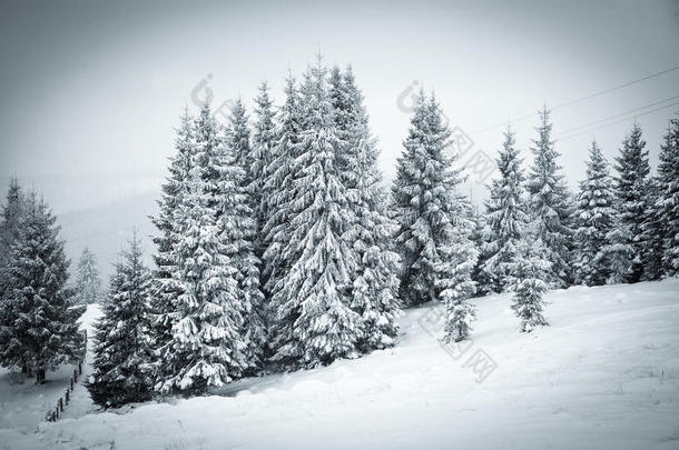 冬季雪景圣诞背景