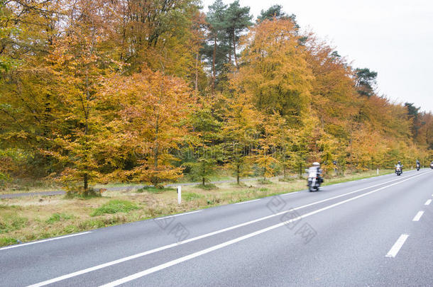 乡村公路。 秋天的场景，低角度，运动模糊。