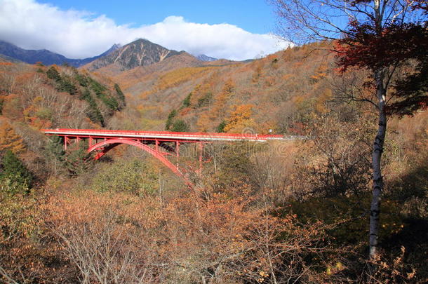 秋叶在宫崎东河桥