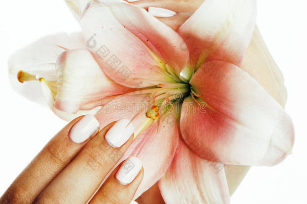 美丽精致的手与美甲握着百合花紧密隔离在白色，水疗沙龙的概念