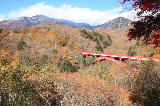 秋叶在宫崎东河桥