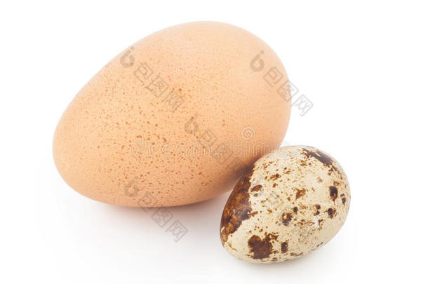 鸡蛋和鹌鹑蛋