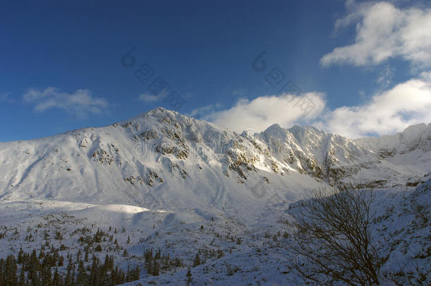 大雪山山峰的美丽景色。 塔特里。 波兰