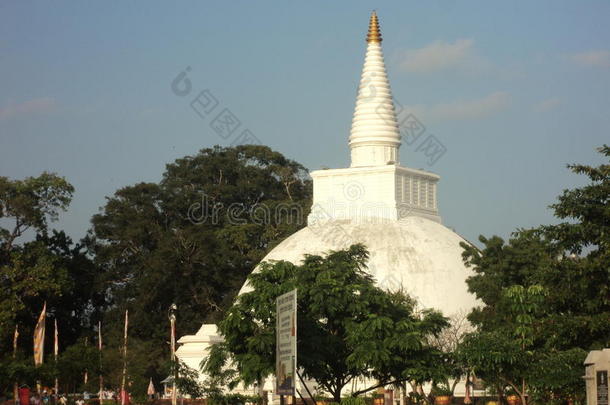 佛教徒兰卡省份斯里兰卡寺庙
