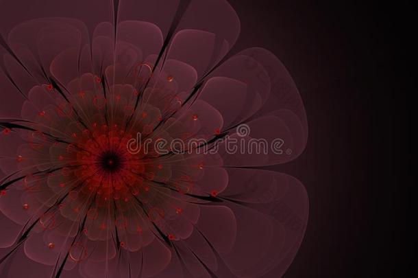 抽象粉红色和红色分形花计算机生成图像